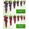 1Pcs Realistic Plastic Artificial Grapes Bunches Simulation Fake Fruit with Leaves for Vintage Home Decor Party Table Display