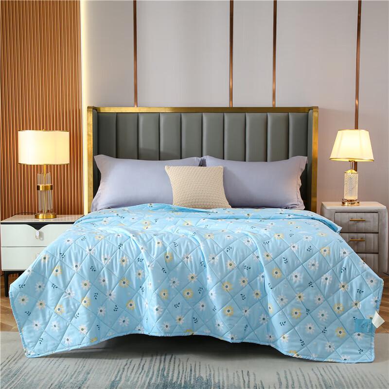 

Meiyuandeng Mint Ice Summer Quilt