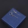 Titanium Steel Earrings Men Temperament Trendy Earrings Korean Women Long Tassel Chain Earrings