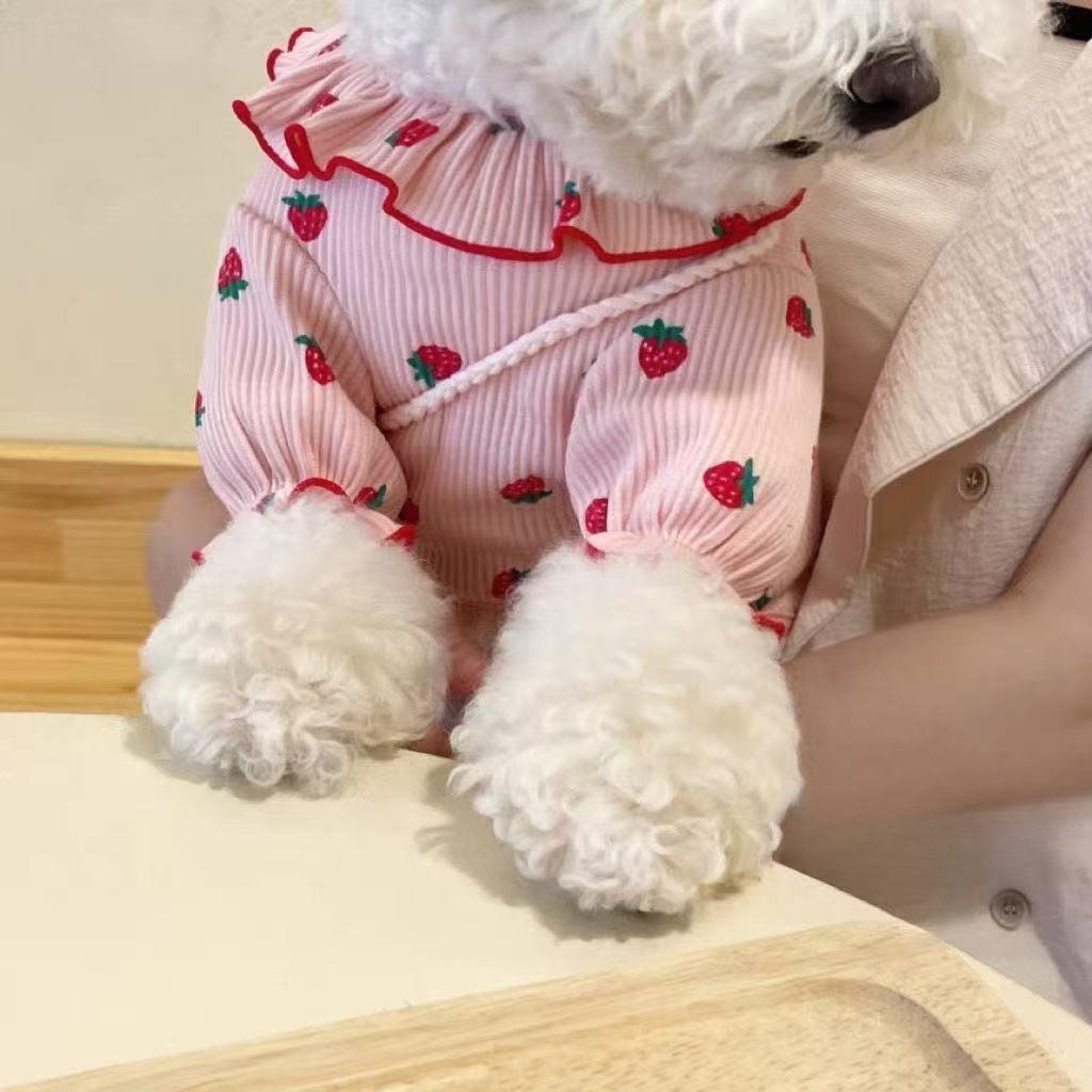 Maglietta Base Fragola per Animali Domestici, Orsetto Fon Barboncino, Vestiti per Cani Piccoli, Gatto Gattino Nuovi Vestiti Primavera e Autunno