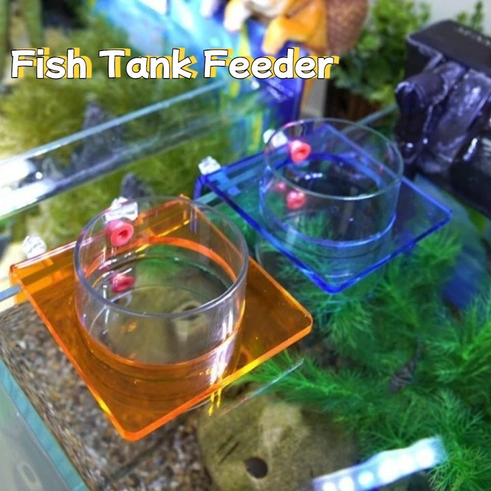 Wall-mounted Fish Tank Feeder Transparent Plastic Fish Feeding Ring Fixed-Point Dispenser Feeding Cup For Shrimp Fishes Snail