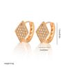 Gold Multi-Style Zircon Hoop Earrings for Women