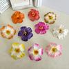 Hairpin Soft Strong Texture Lightweight Decorative Flower Hair Clip Realistic Flower Design Holiday Leisure Hair Pin