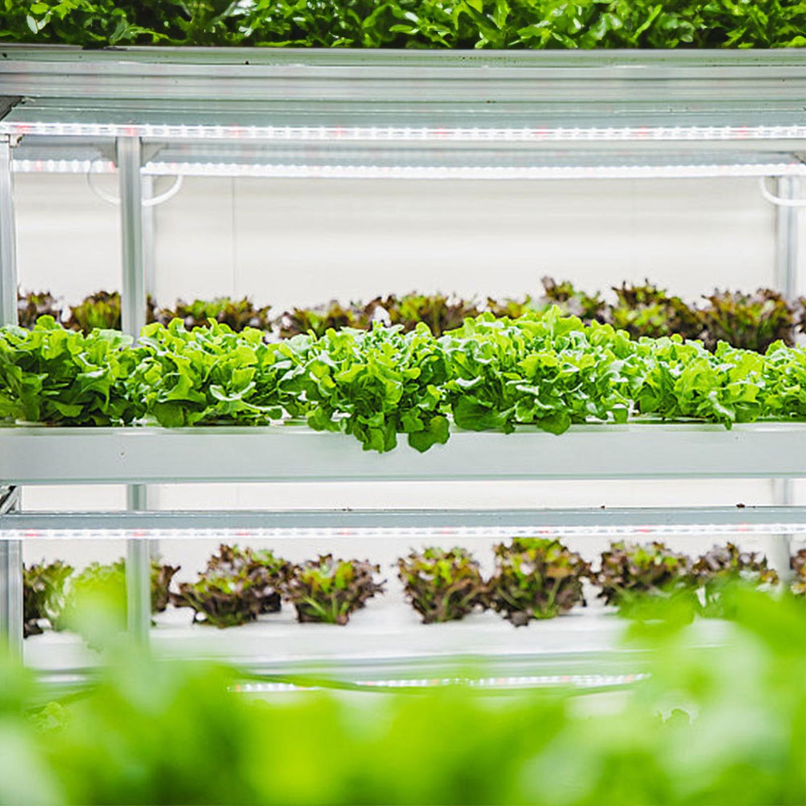 

Светодиодные ленты для выращивания растений для комнатных растений Красный и 3000K Подобный солнечному свету светильник для выращивания для гидропоники Суккуленты Дополнительный свет 30cm 1 Strip