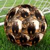 1pc Wild Bear Encounter Theme Soccer Ball Football, Size 5, Lightweight PVC, Outdoor Training Soccer Ball,Gift C6510