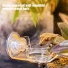 Magnetic Reptiles Suction Cup Food Tray Gecko Easy Installation Feeding Station Food Dish For Lizards Chameleons Tree Frogs