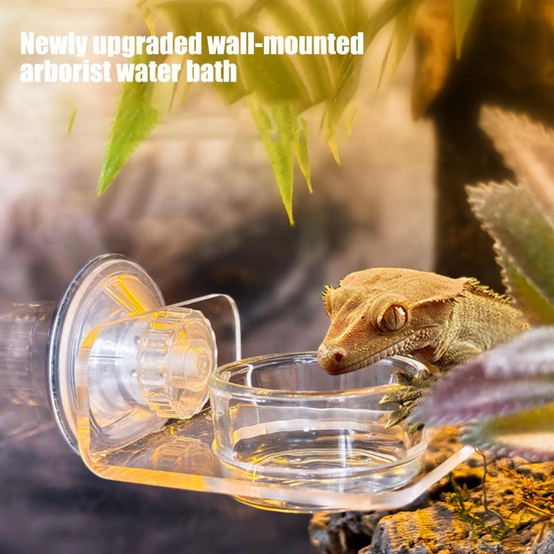 Magnetic Reptiles Suction Cup Food Tray Gecko Easy Installation Feeding Station Food Dish For Lizards Chameleons Tree Frogs