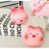 Zhao Lusi Sangzhi Same Style Sakura Pig Stress Relief Toy Plastic Material