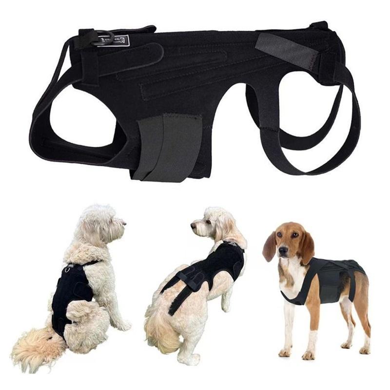 Comfortable Black Dog Back Support Vest Breathable Reusable Pet Orthopedic Support Brace Adjustable Dog Chest & Back Bracket Dog
