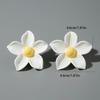 New Spring/Summer Simulation Dyeing Resin Flower Earrings for Women's Jewelry, Fresh and Cute Flower Earrings