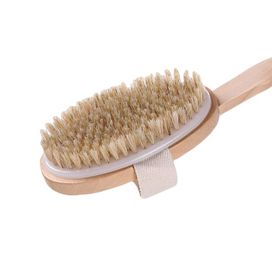 Bath Brush Long Handle Rich Bubbles Soft Bristles Fast Drying Detachable Handle Body Brush Bathing Tool