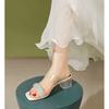 Slippers Outer Wear Summer Shoes Medium Heel Thick Heel Crystal Transparent Word with Cool Slippers