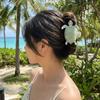 Ocean Series Animal Hair Clip Sea Creature Big Shark Clip Creative Acetate Turtle Hair Claw Daily