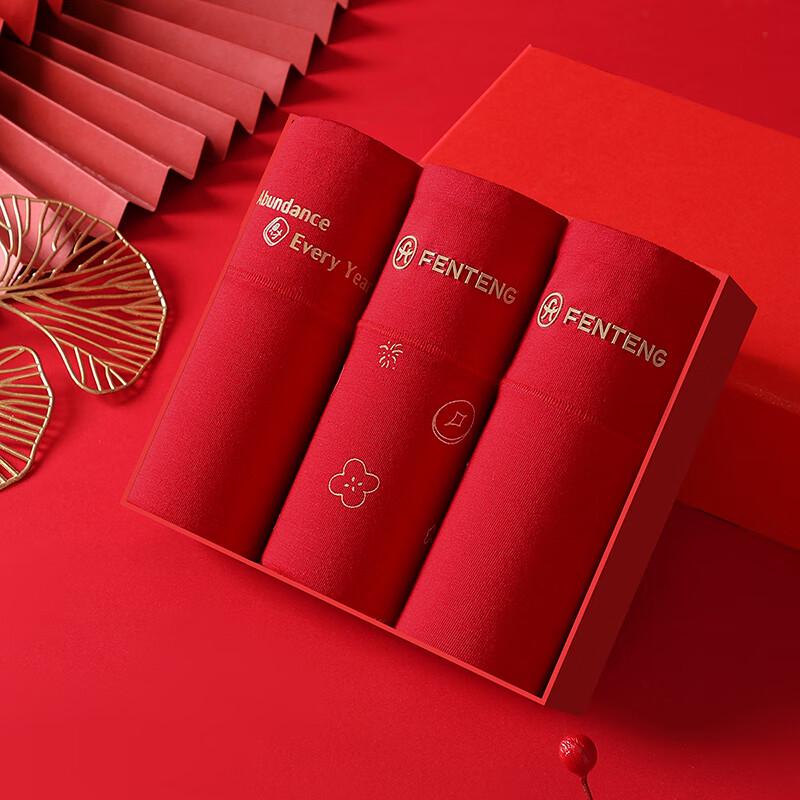 Fenteng Women's High-Waist Cloud Cotton Briefs 3-Pack