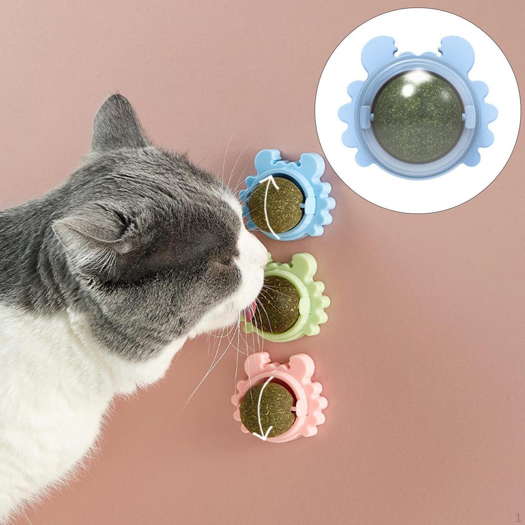 Catnip Balls Edible Rotatable with Lid Removable Healthy for Treats Playing Grinding Kitten Chewing