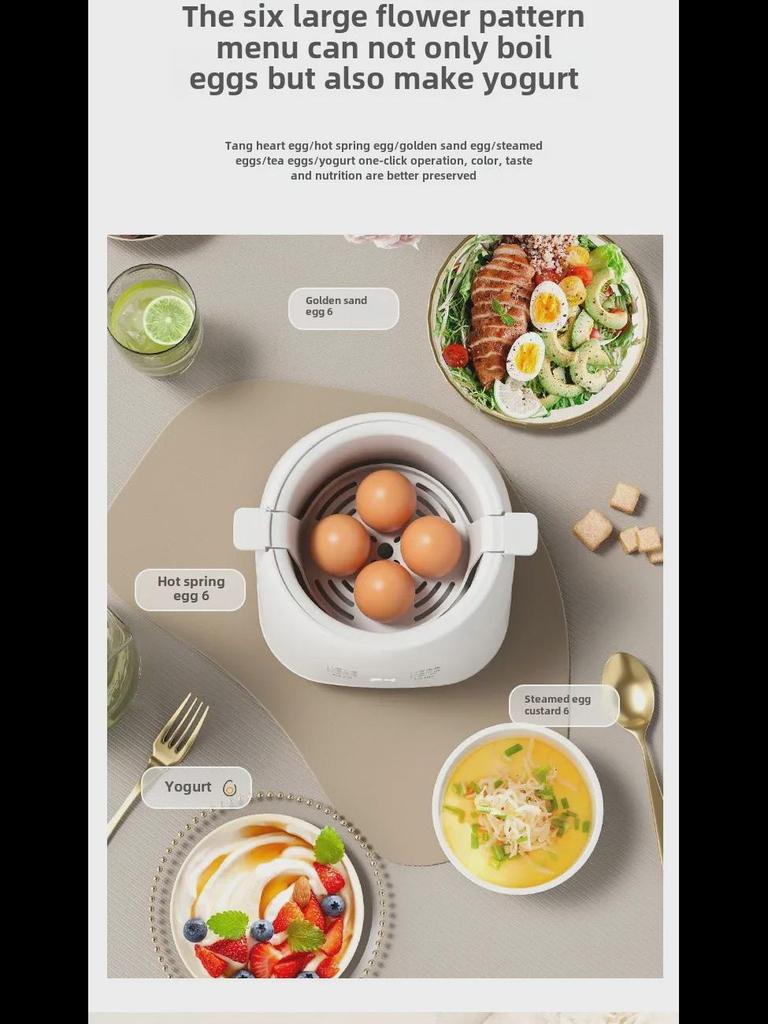 Kompakter automatischer Eierkocher mit Timer und automatischer Abschaltung