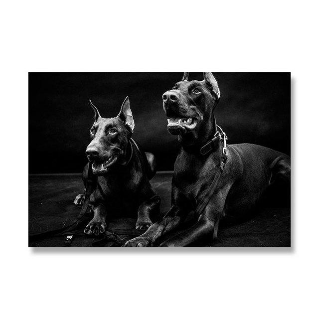 

Современный Доберман Холст Картина Настенное Искусство Черный Прохладный Собака Животные Плакаты и принты для Гостиной Украшения Дома Куадрос 21cm×30cm NoFrame