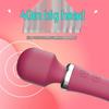 Lelo Dual-Ended Waterproof Rechargeable Vibrator & Clitoral Stimulator for Women
