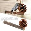 Natural Perch Bird Stand Pole Chewable Applewood Bird Perch Cage Accessories with Pine Cone for Parakeets Cockatiels
