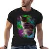 I Talk To My Cat TShirt T Shirts Cotton 100 Essential T Shirt TShirt