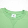 Puma Men's Short Sleeve Sport T-Shirt 692892