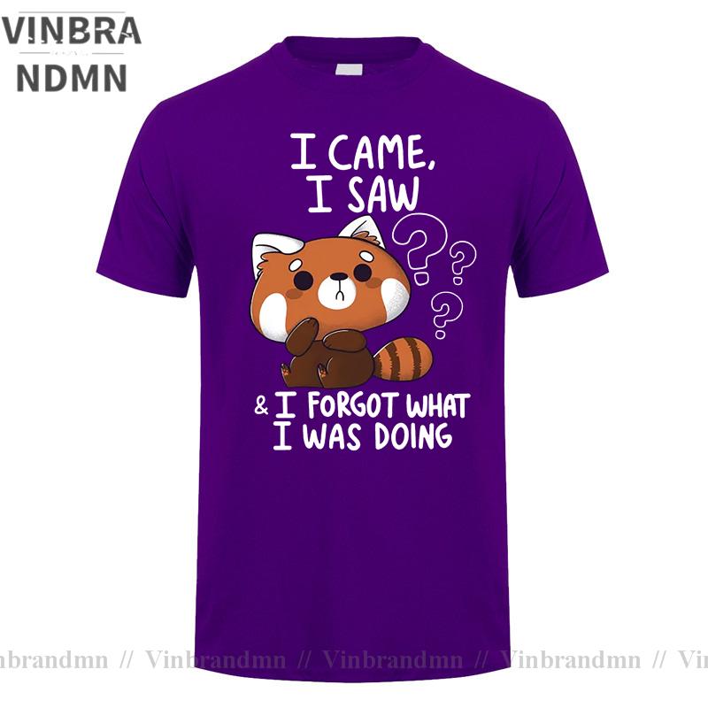 Funny Red Panda T Shirts Humor Cartoon Raccoon I Came I Saw I Forgot What I Was Doing Tshirt Streetwear Hip Hop Harajuku Tshirt