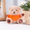 Stuffed Animal Plush Bear Key Chain Cute Bear Pendant Doll Graduation Bear Doll  Car Key Chain