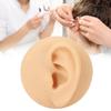 Soft Silicone Left Ear Model Ear Acupuncture Practice Model Simulation Ear Display Model
