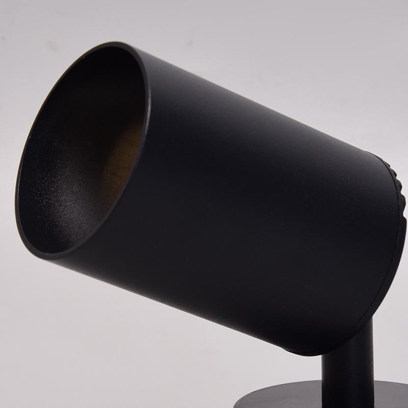 Dual & Triple-Head Ceiling-Mounted LED Track Spotlight with Adjustable Angle & Rotating Function for Cloakroom