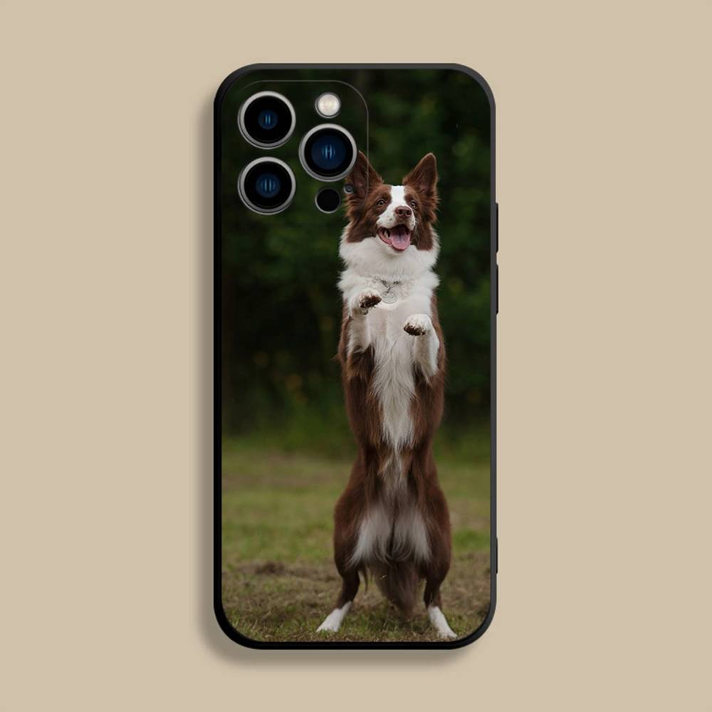 Border Collie Dog Phone Case For iPhone 17,16,15,14,13,12,Pro,Max,Plus,E,SE4,Air,Mini Black Soft Cover