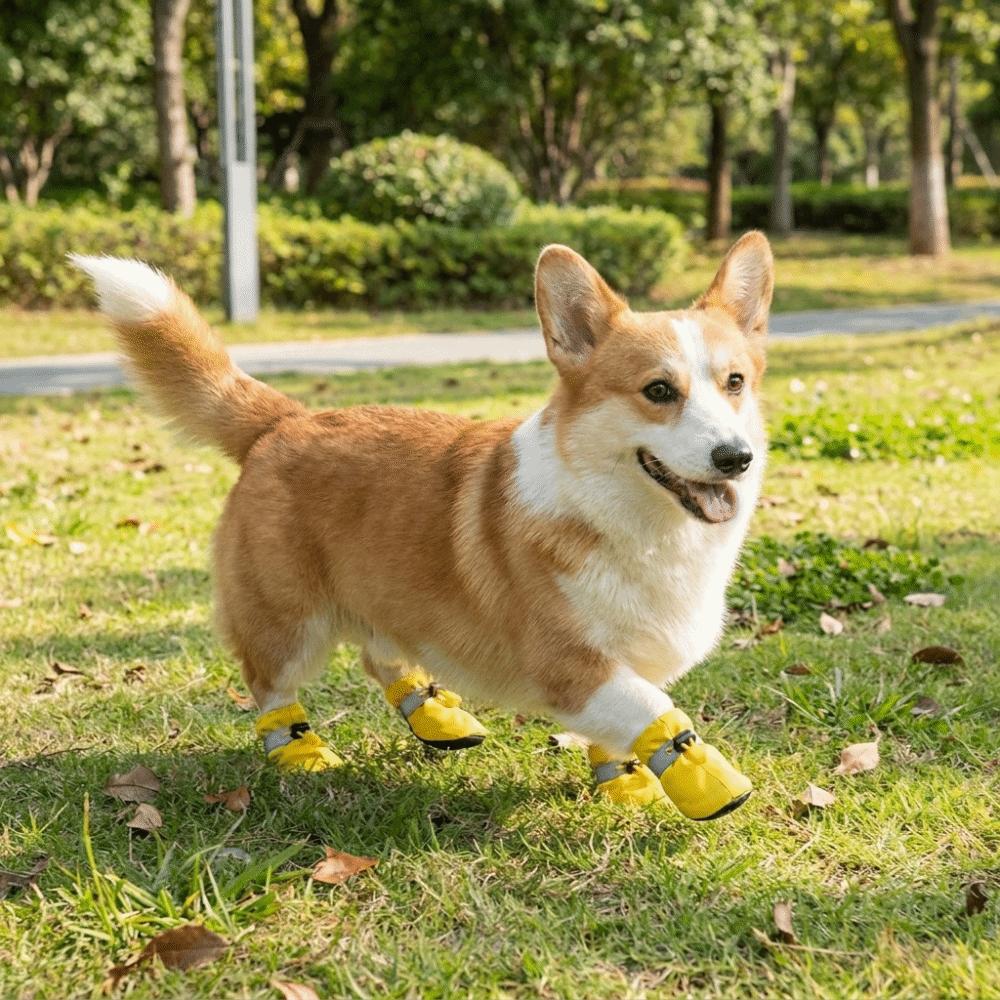 Waterproof Dogs Snow Boots Soft Bottom Dog Rain Boots Fashion Pet Paw Protection  Outdoor Use