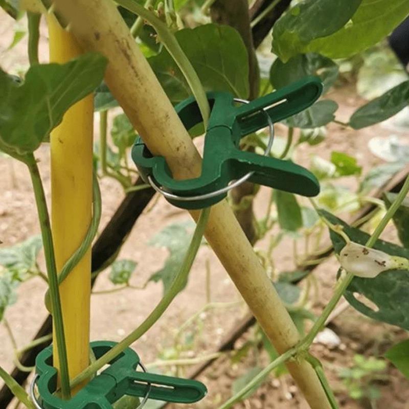 10-100Pcs Plant Fixed Clips Reusable Garden Greenhouse Clamp Bracket for Fixed Plants Vine Flower Seedling Stem Support Tools