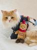 Gelato Pique Cat & Dog Ski Bear Toy PAGG255590, Unisex Adult, Brown, Free Size