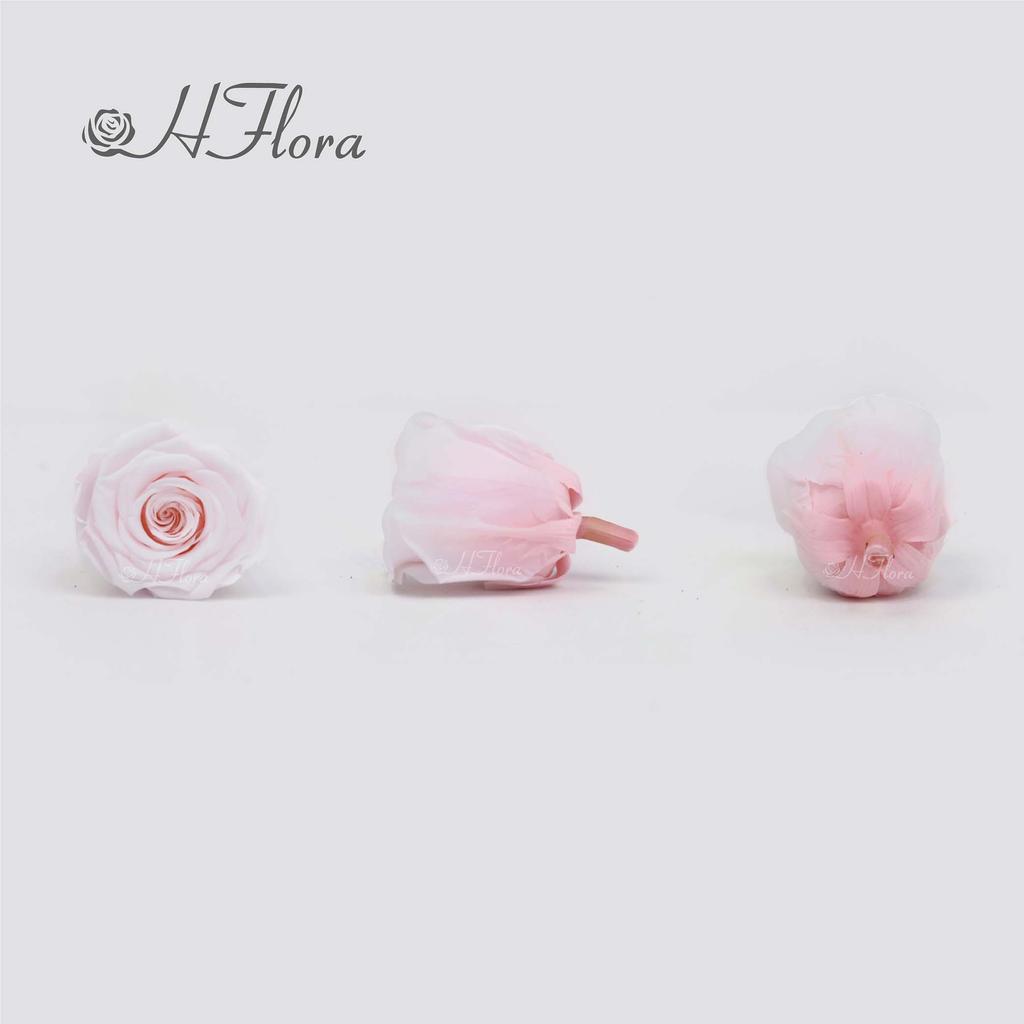 HFloral Hot Selling Customer Popular Rose Head 4~5 Cm Preserved Roses Box Eternal Mother's Day Graduation Day