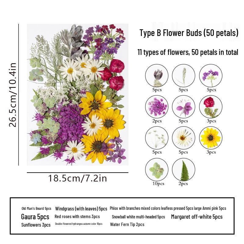 DIY Dried Flower Specimen Sticker Set for Kids: Handmade Pressed Flower Frames & Resin Bookmark Craft Kit