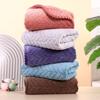 Coral Fleece 80g Ultra Soft Absorbent Household Travel Absorbent Quick Drying Hair Thick Towel
