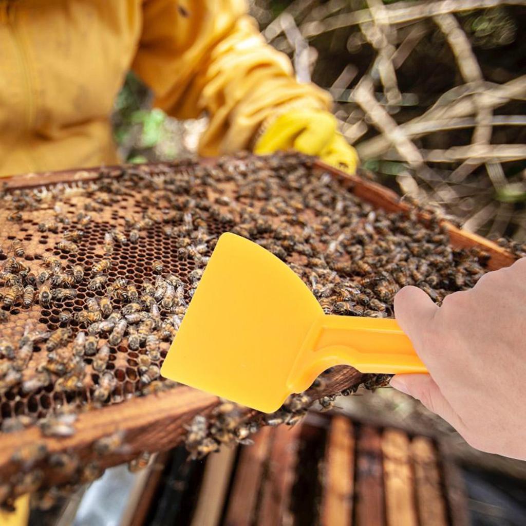 Honey Scraper Shovel Heavy Duty Honey Cleaning Scraper Professional Honeycomb Beekeeping Tool For Processing And Harvesting