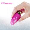 Wireless Remote Control Silicone Wearable Panties Vibrator Egg Clit G Spot Sex Toy for Women