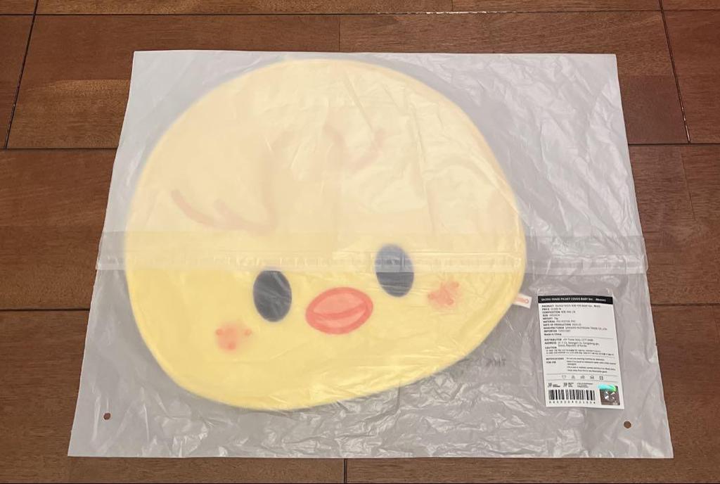 [USED] StrayKids Felix Pogarri Fan Cover Seoul Concert