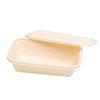 Homeglen Disposable Corn Starch Lunch Boxes with Lids
