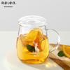 Wushengwu Deer Glass Tea Infuser Bottle 500ml
