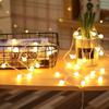 USB Plug-in & Battery-Powered Dual-Use LED String Lights White Ball Style Fairy Lights Christmas Wedding & Party Holiday Decorations 3M/6M/10M