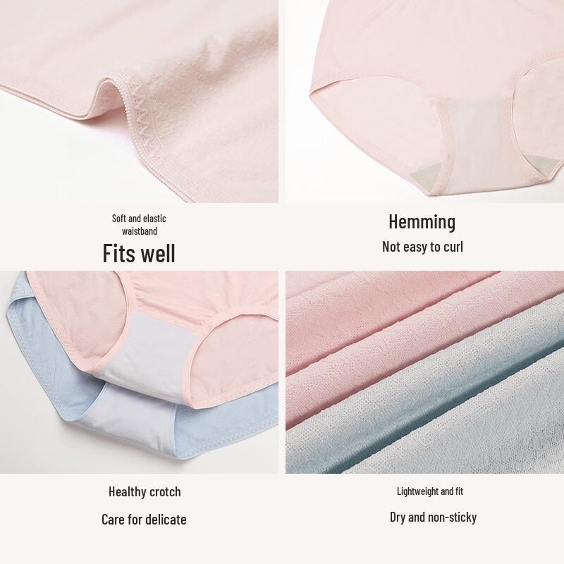 Regina Miracle Women's Cotton Blend Breathable Underwear - 3 Pack