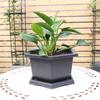 Lilang Imitation Zisha Hexagonal Plastic Flower Pots