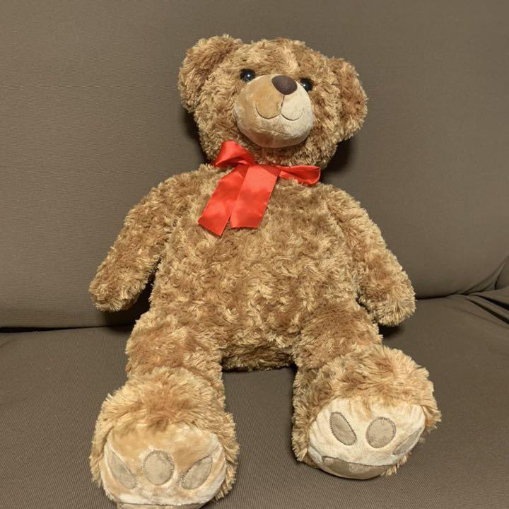 

[USED] teddy bear plush toy
