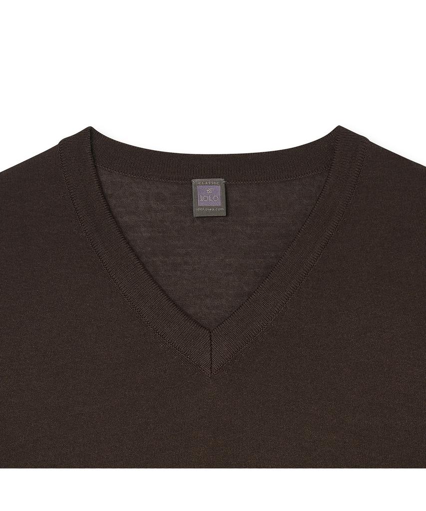 IOLO Silk Blended V-Neck Sweater_Dark Brown