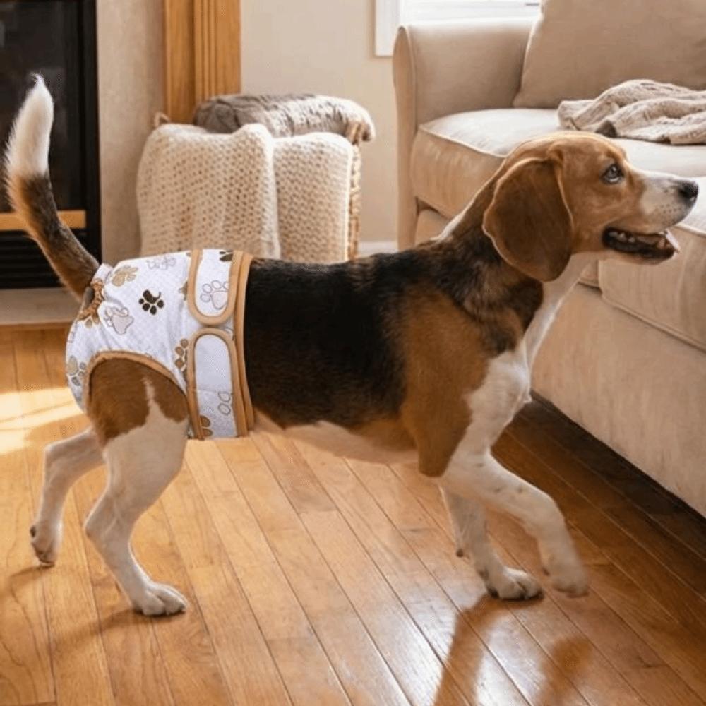 Washable Pet Sanitary Pants Breathable Pet Physiological Pants Pet Menstrual Panties Puppy Hygiene