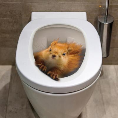 Toilettendeckel-Aufkleber, starke Klebrigkeit, PVC, wasserdicht, abnehmbar, lustiger 3D-Eichhörnchen-Tieraufkleber, Wandaufkleber