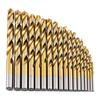 19pcs Titanium Coated High Speed Steel Drill Bits Roll-Forged Straight Shank Drill Bits For Plastic