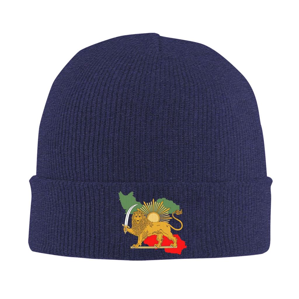 Persia Map & Flag Beanie Hats  Knit Hat Unisex Women Y2K Cool Elastic Caps Autumn Hippie Graphic Bonnet Hats
